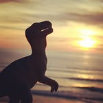 Reginald on the beach - @reginaldonthebeach - Instagram