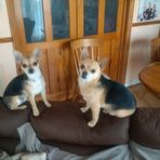 Reginald Beard - Facebook