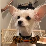 Reggie and Bennie - @reginald.bernard.mtz - Instagram