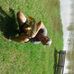 Reginald Bingham - Facebook