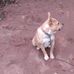 Reginald Blackmon - Facebook