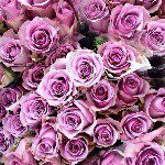 Reginald Blankenship - @regina4eblankan - Instagram