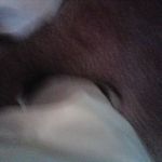 Reginald Bocks - @bocksreginald - Instagram