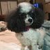 Reggie Bond - Facebook