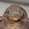 Lennart - @reginaldbonesofficcial - TikTok