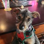 Reginald Bones - @reginaldbones - Instagram
