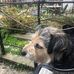 Reginald Brooker - Facebook