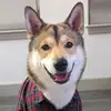 Reginald Blue - @reginald.blue - TikTok
