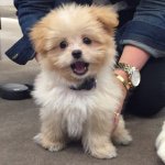 Winston Reginald Cannon lll - @winstonreginaldcannon - Instagram