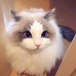 Reginald Carlson - @hvuym1k8t1 - Instagram