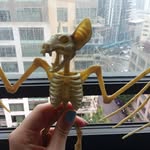 Reginald St. Clemons - @reggiethebat - Instagram