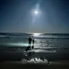 reginaldcook59 - @reginald.cook - TikTok