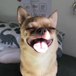 sir reginald cook the third - @dj.c0_0k - Instagram