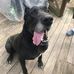 Regina Creech - Facebook