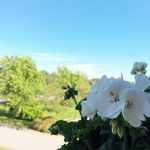 Reginald Cunningham - @rvccounselling - Instagram
