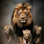 Reginald Curtis Bosman - Facebook