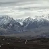 deweyreginald31 - @deweyreginald31 - TikTok