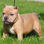 Reginald dukes - @cadiregg572 - Instagram