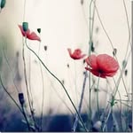 @reginalddyer502676 - Instagram
