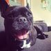 Reginald Beauregard English - Facebook