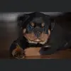 reginaldepps6 - @reginaldepps6 - TikTok