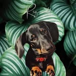 Reginald Fitzpatrick - @reggie.rue - Instagram