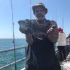 reginaldgarnett95 - @reginaldgarnett95 - TikTok