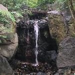 Reginald Glenn - @glennrgg007 - Instagram