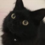 Reginald - @haggertyreginald2019 - Instagram