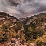 Anna mflhfcnt Leon - @reginaldhale_839448 - Instagram