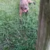 Reginald Hilliard - @reginald.hilliard - TikTok