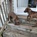 Reginald Hilliard - Facebook