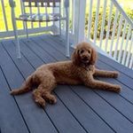 Reginald Hobbs - @reginald.hobbs - Instagram