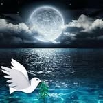 Reginald Holcomb - @reginaldholcomb - Instagram
