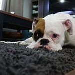 Reginald Hubbard - @reginald.hubbard.3720 - Instagram