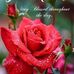 Reginald Jacques - Facebook