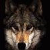 Reginald Larkins - Facebook