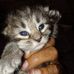 Reggie Little - Facebook