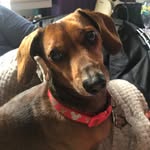 Reginald Tyrion Little - @little_man_reggie - Instagram