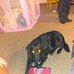Reggie Mansfield - Facebook