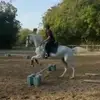 Reginald Martinez - @reginaldmartinez495 - TikTok