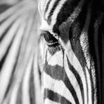 Reginald Mathis - @reginaldmathis6060 - Instagram