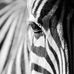 Reginald Mathis - Facebook