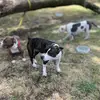 reginaldmcbridejr3 - @666m113 - TikTok