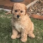 REGINALD MOONEY - @itsreggiemooney - Instagram