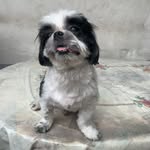 Norbert Reginald Morales - @norbertreginaldmorales - Instagram