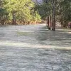 Reginaldo Morales - @reginaldomorales - TikTok