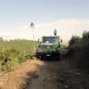 Reginaldo Morales - @reginaldo.morales8 - TikTok