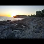 Reginald Morrow - @reginaldmorrow7 - Instagram