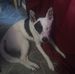 Reginald Mullins - Facebook